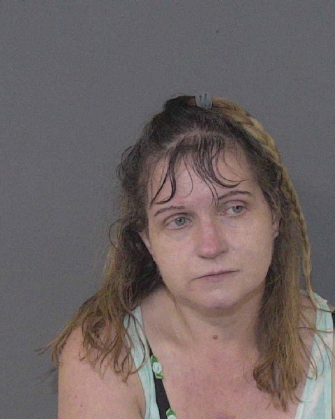 Booking photo of Bridget Olson