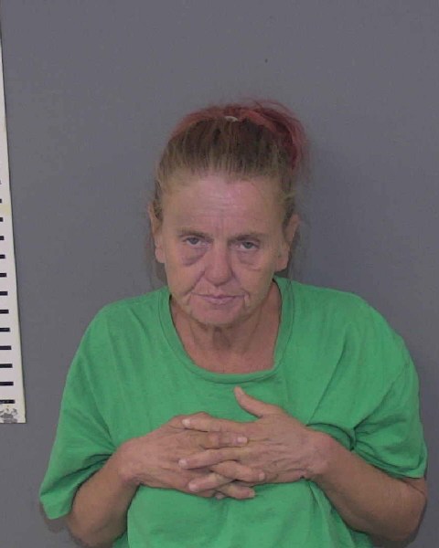 Booking photo of Tina Mcelhannon