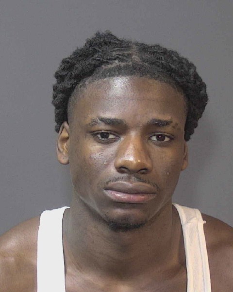 Booking photo of David Elliott