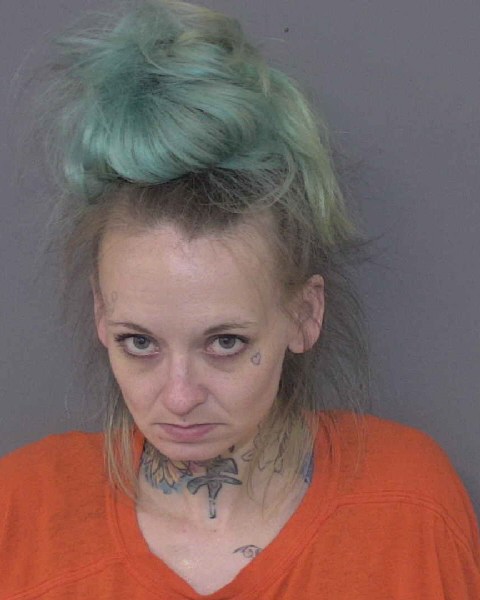 Booking photo of April Vossler