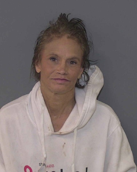 Brenda Brasington booking photo