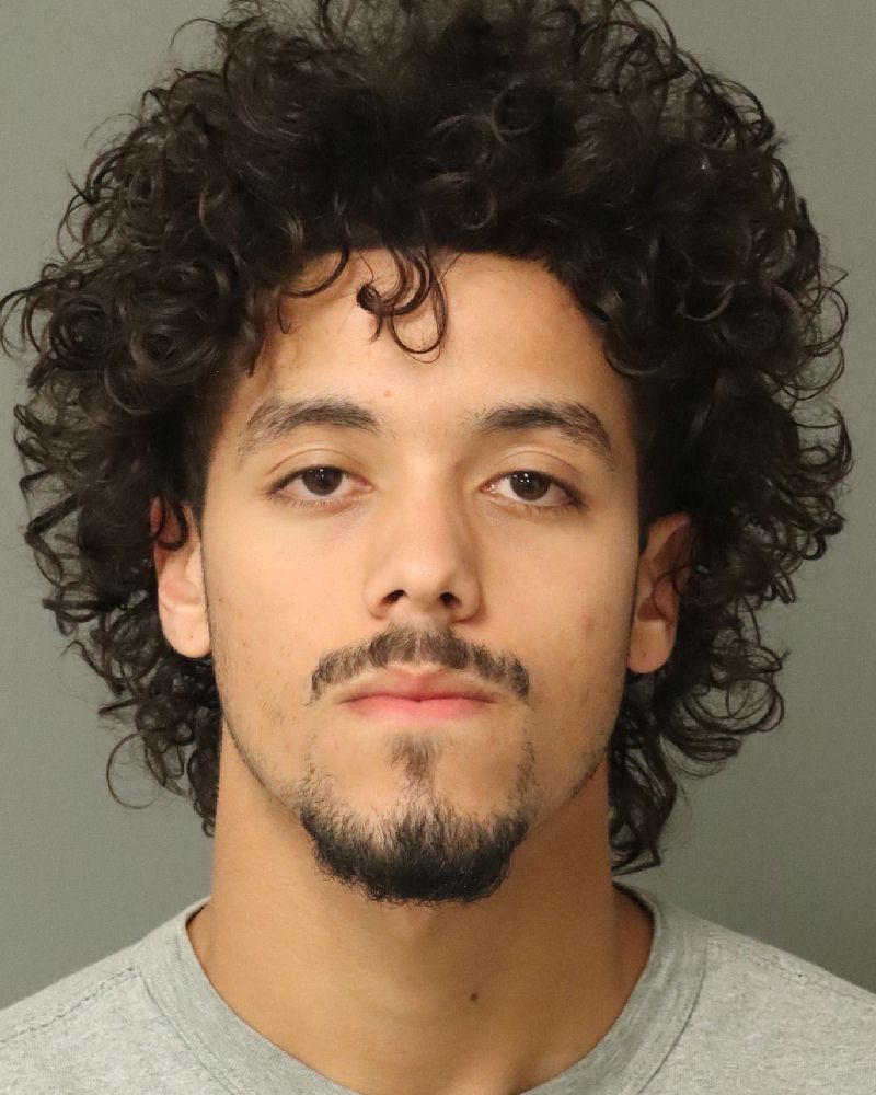 Dariel Pagan Vergara booking photo