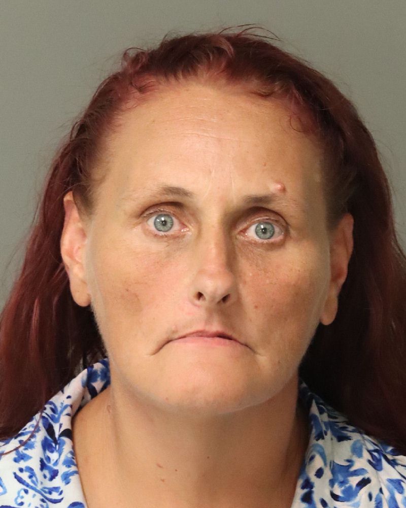 April Ackerman booking photo