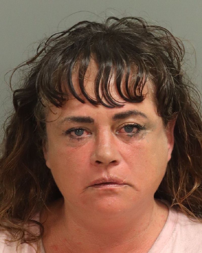 Booking photo of Michele Clark