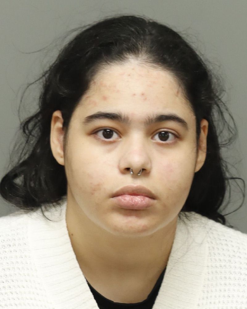 Booking photo of Kimberli Paulino