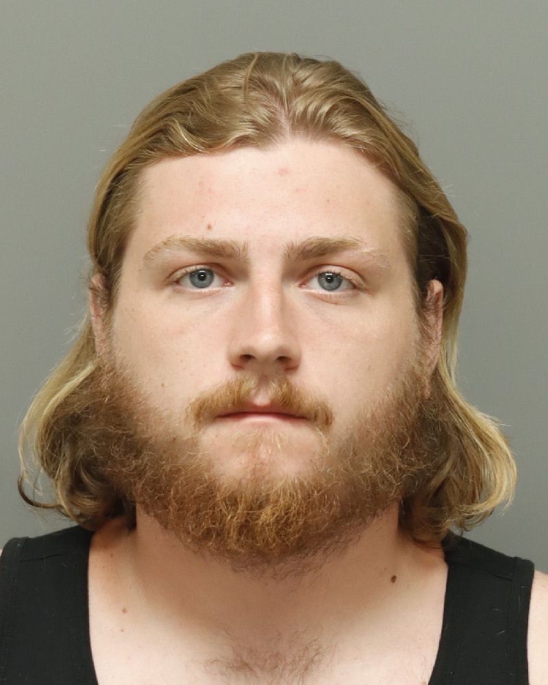 Booking photo of Dylan Wilson