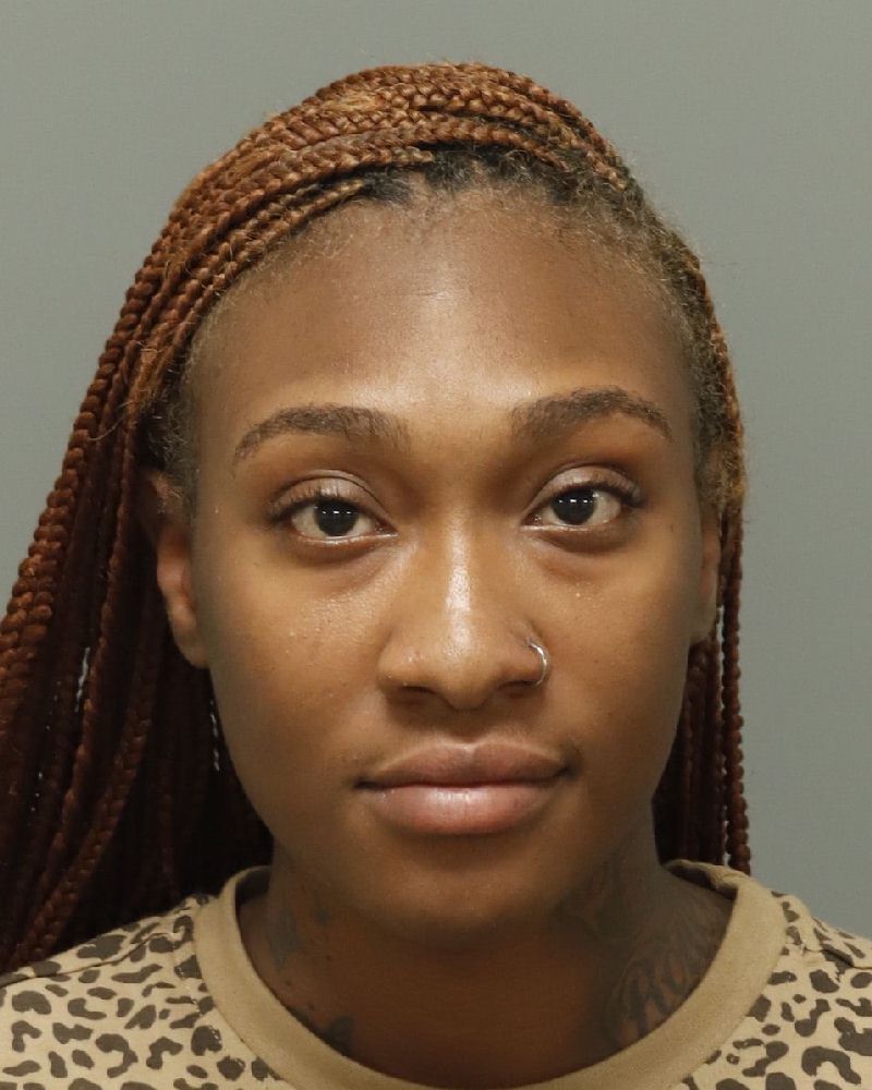 Ariana Gaines booking photo