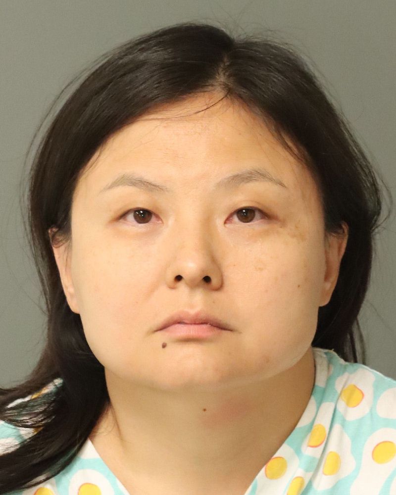 Di Gao booking photo