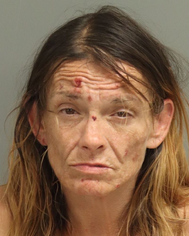 Booking photo of Elizabeth Wall