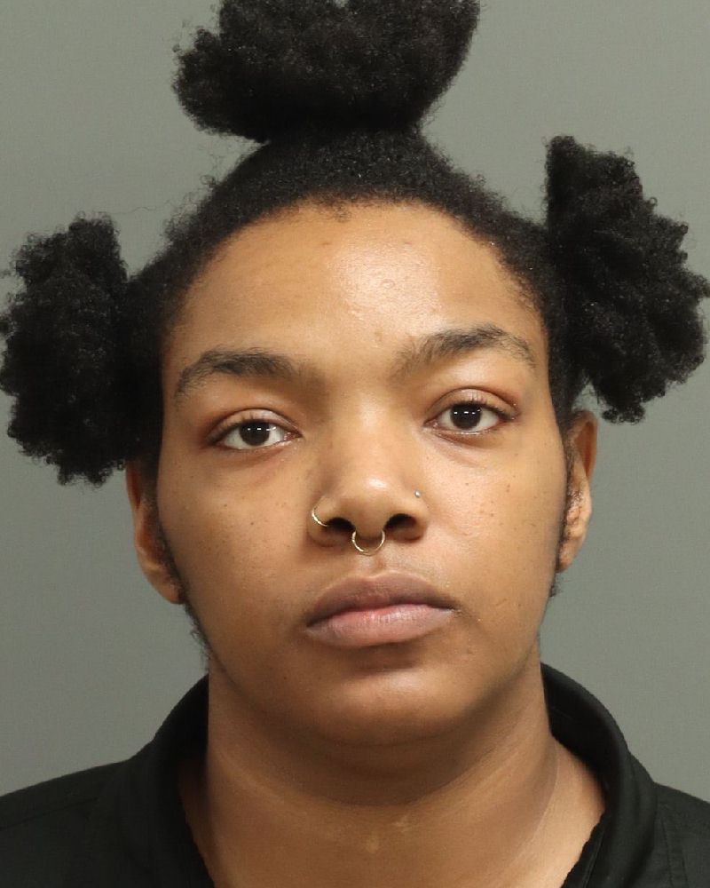 Lydia Gray booking photo