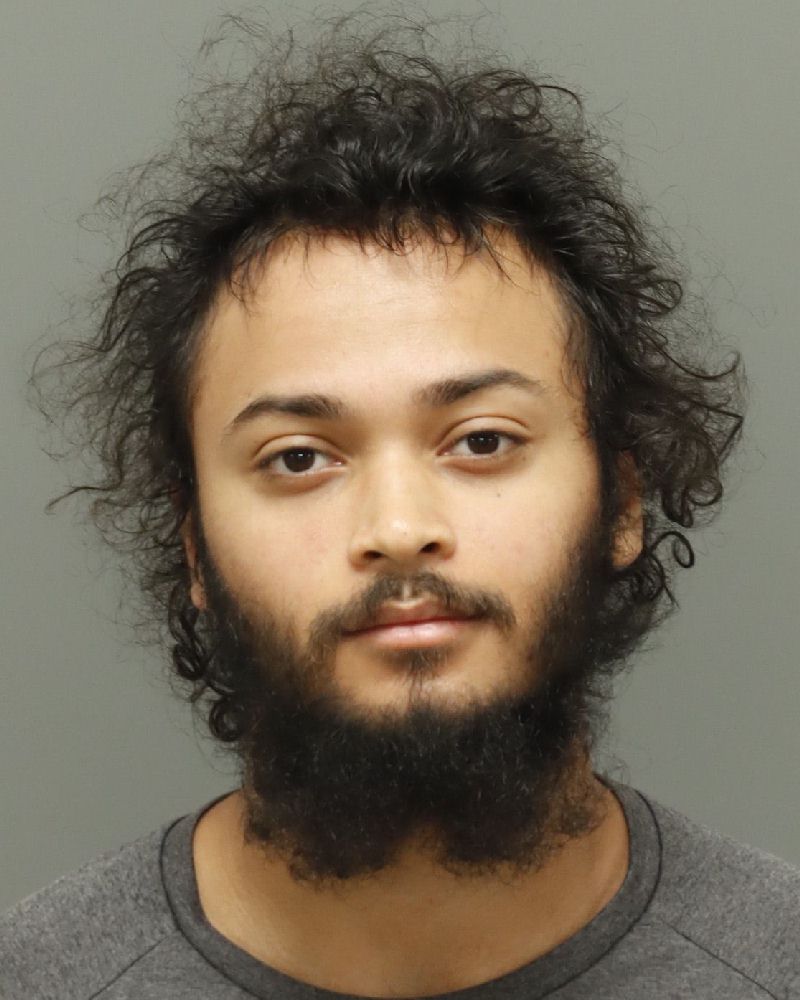 Booking photo of Regan Brown