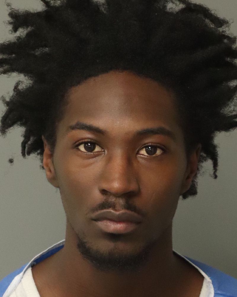 Booking photo of Loseni Bull