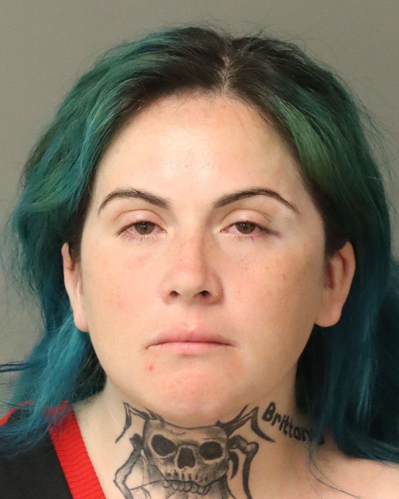 Booking photo of Corinne Painter