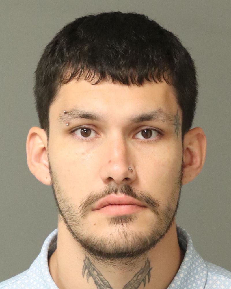 Booking photo of Christian Botello-salinas