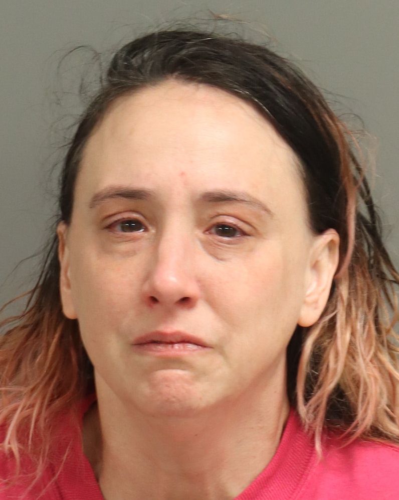 Booking photo of Cheryl Bandoski-gralins
