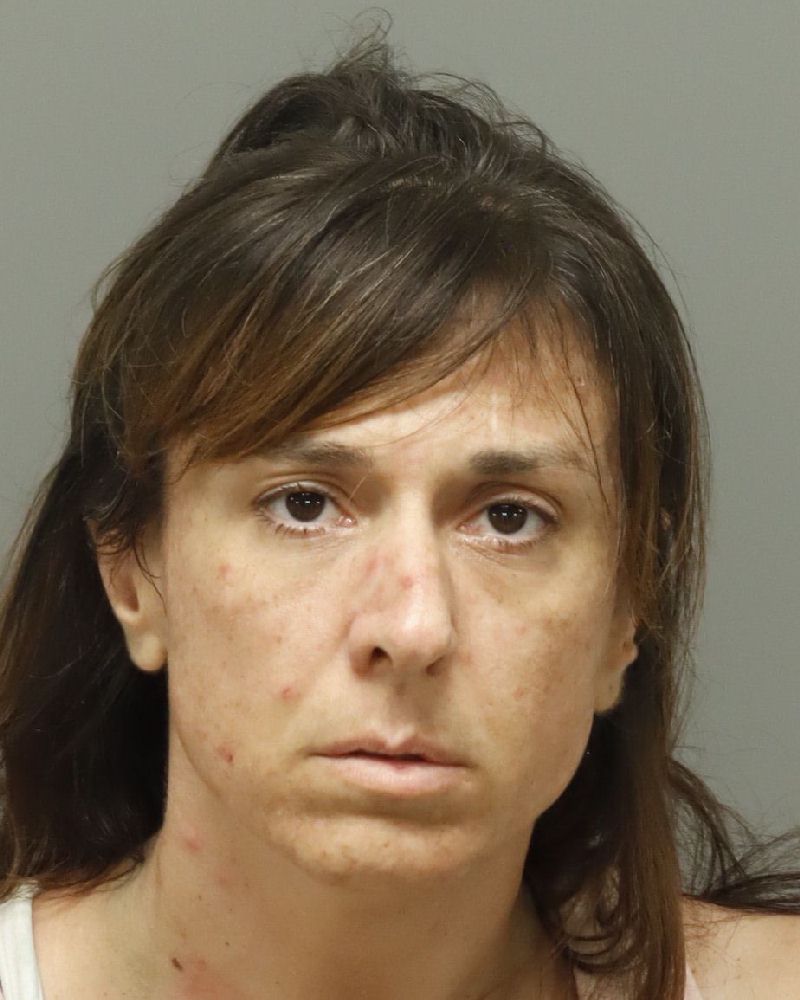 Booking photo of Ashley Zendzian