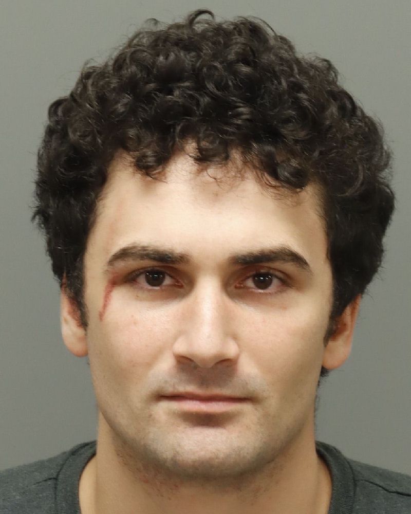 Efe Erdem booking photo