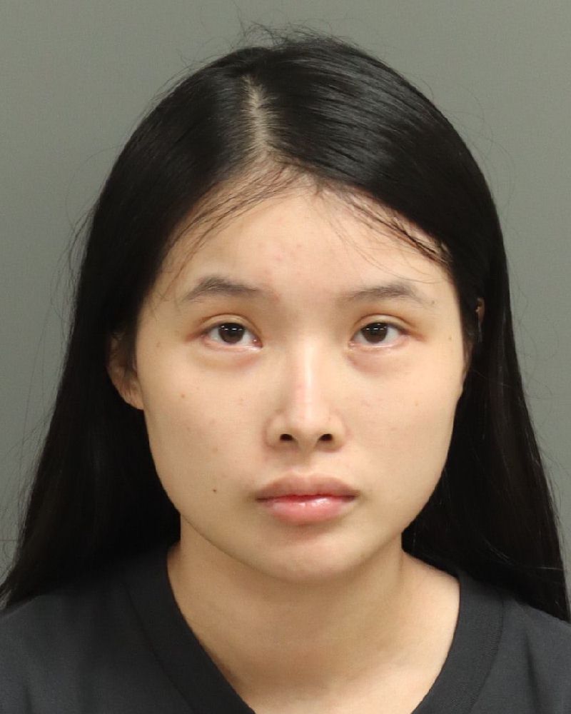 Booking photo of Xinyi Lin