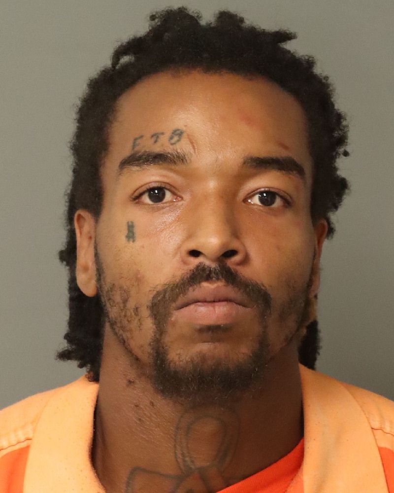 Booking photo of Travis Wilkins