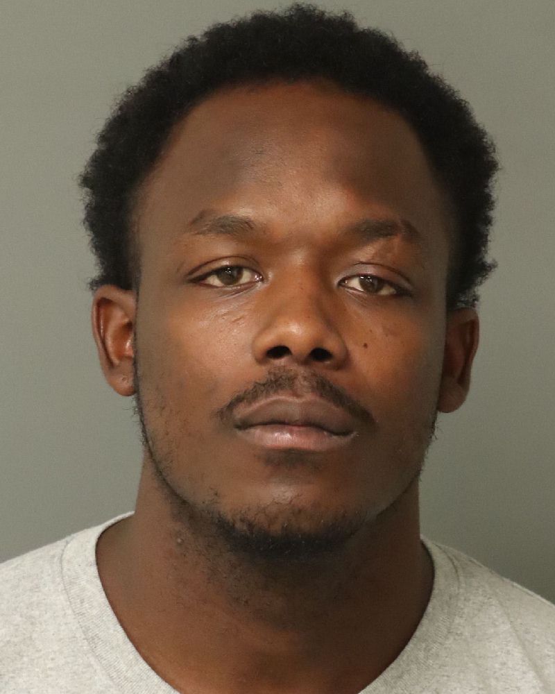 Booking photo of Domique High