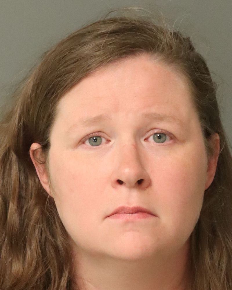 Booking photo of Erin Apple