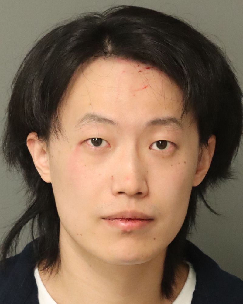 Booking photo of Tianyi Wang