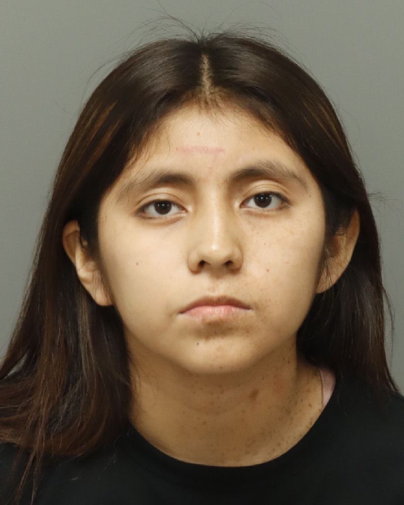 Booking photo of Genesis Galicia-modesto