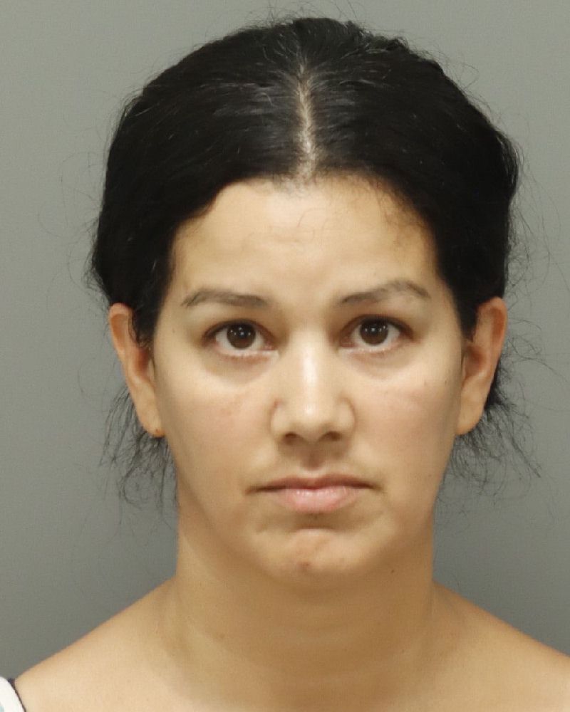 Booking photo of Melissa Mchugh-garcia