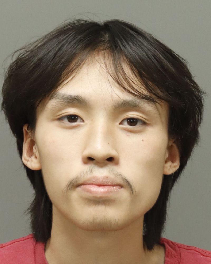 Austin Nguyen Vo booking photo