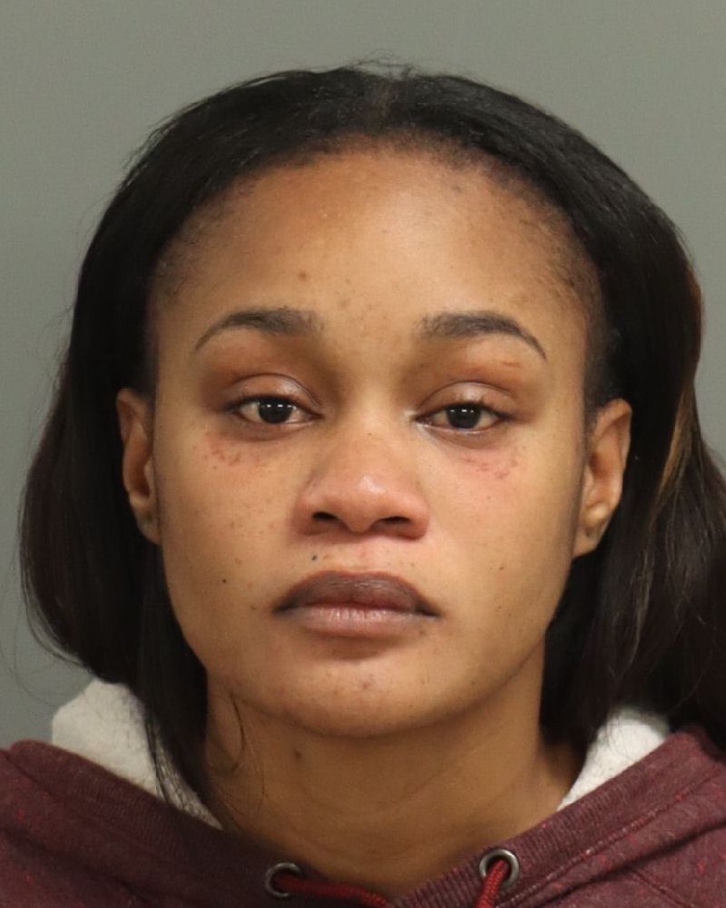 Brittany Burke booking photo