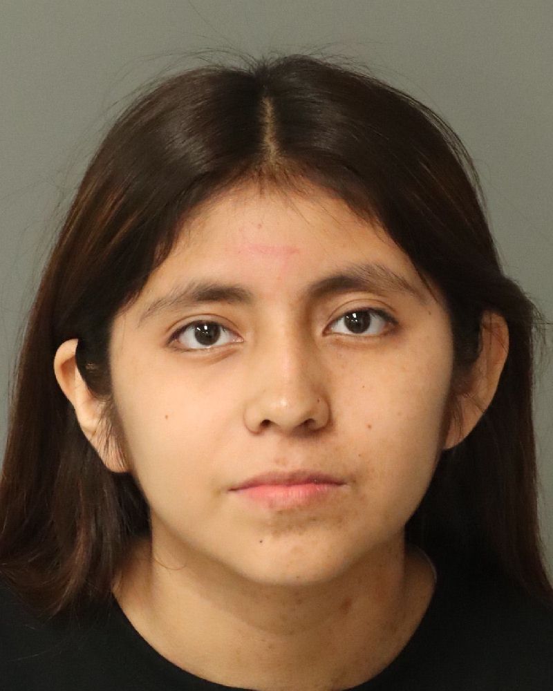Genesis Galicia-modesto booking photo