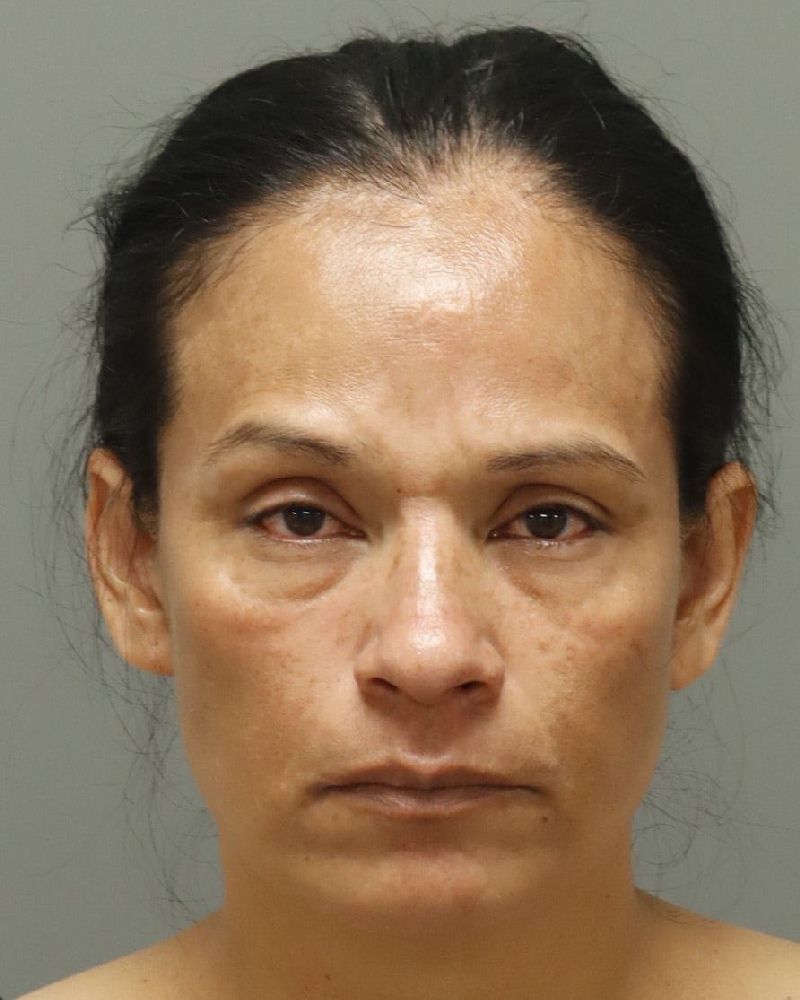 Booking photo of Eusebia Arredondo-ramire