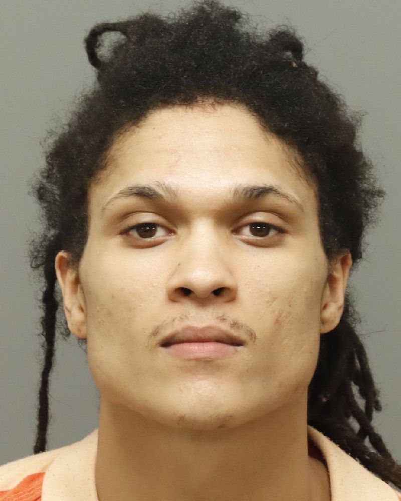 Booking photo of Dominic Maurizzio