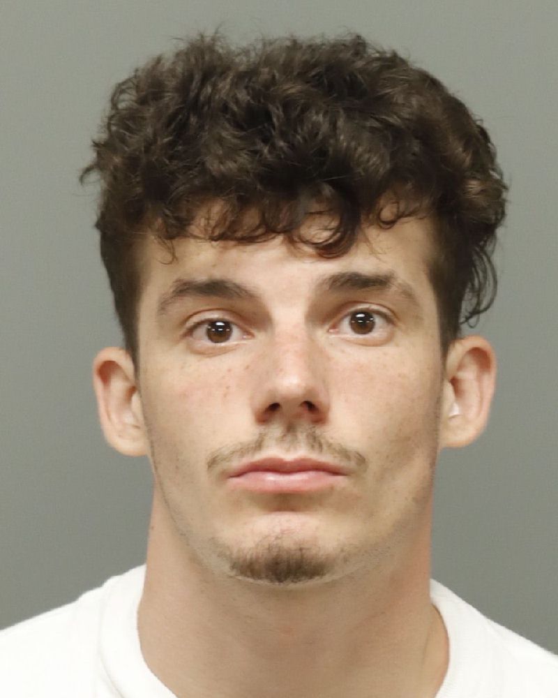 Booking photo of Vladimirs Gibbs