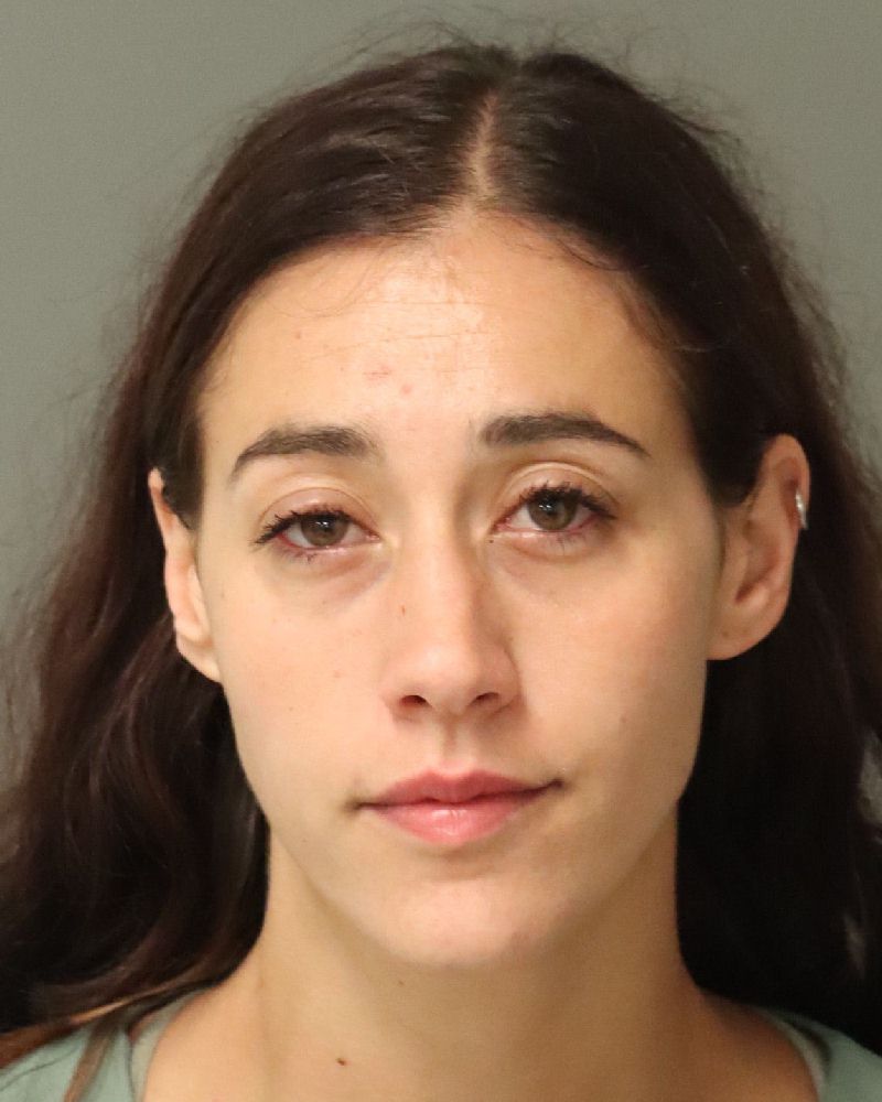 Booking photo of Natasha Falerne