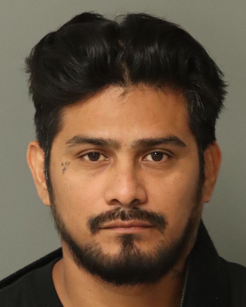 Booking photo of Edgar Roman