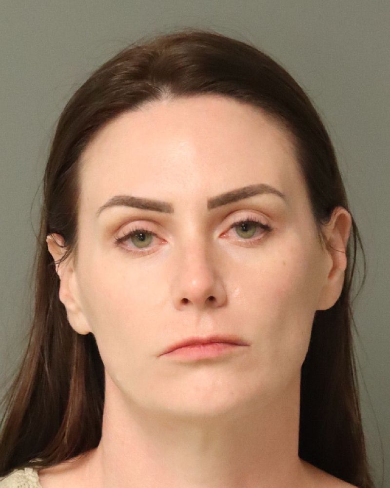 Booking photo of Skye Hollins