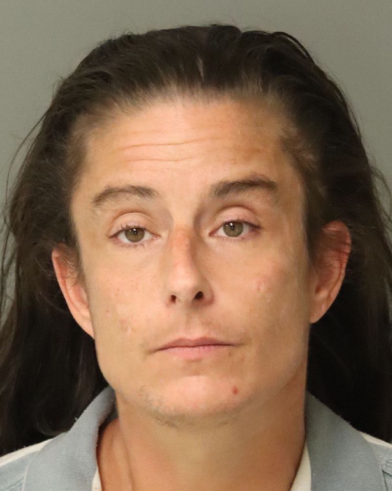 Booking photo of Ashley Steffan