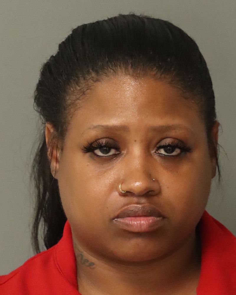 Booking photo of Brittnee Smith