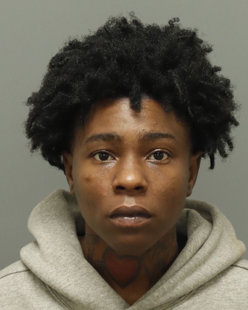 Booking photo of Shiannon Whitted