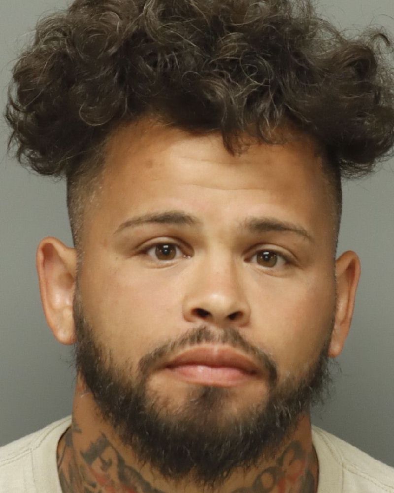 Booking photo of Ariel Martinez