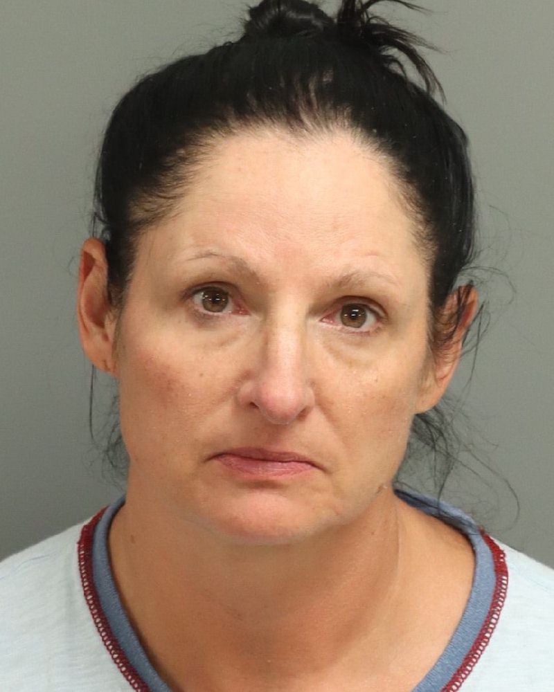 Booking photo of Julie Ley