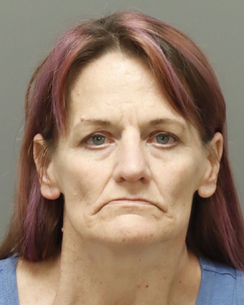 Booking photo of Cristina Shreve