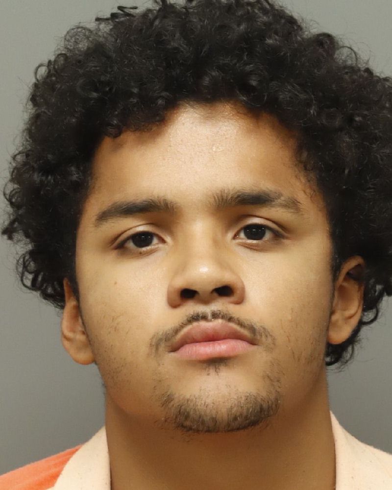 Alex Ortega booking photo