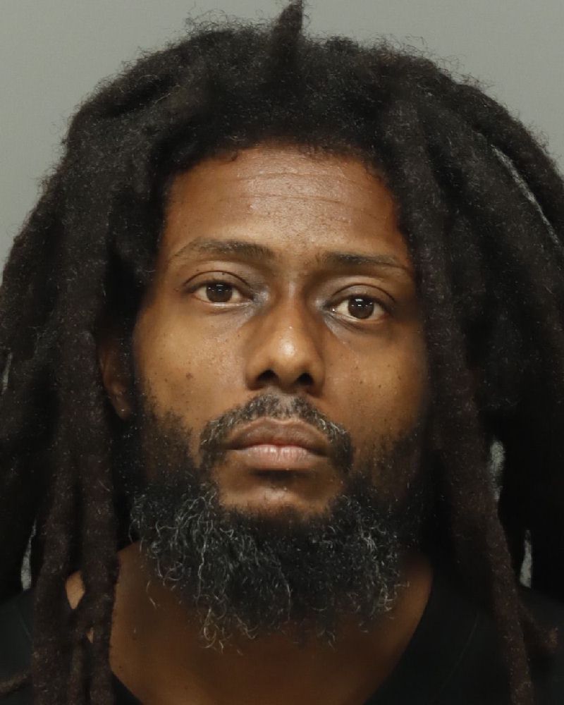 Booking photo of Jamie Simmons