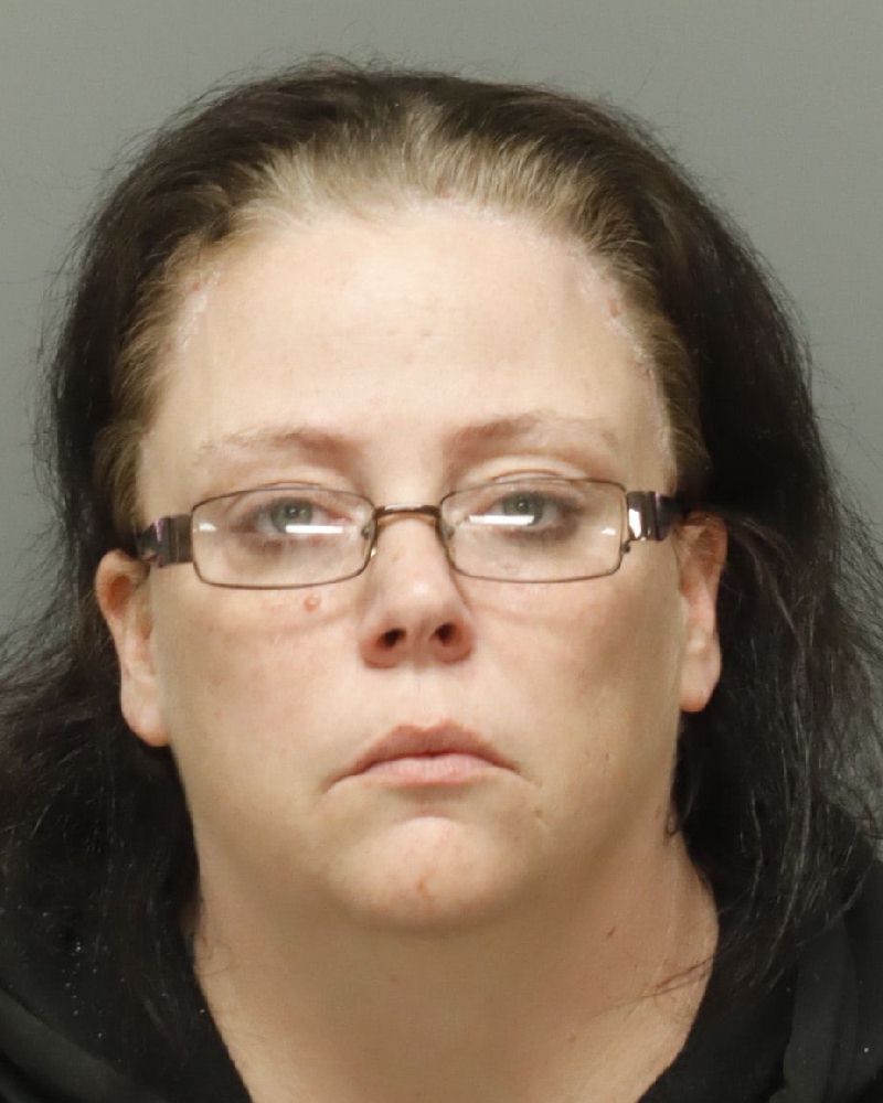 Karen Perry booking photo