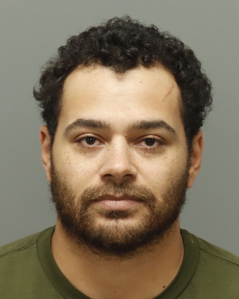 Booking photo of Alexander Pearce