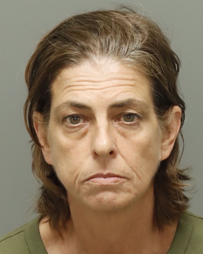 Suzanne Willis booking photo