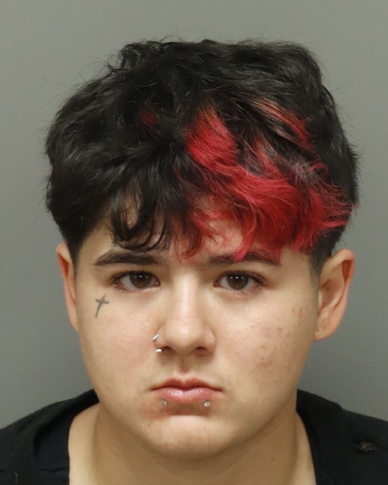 Booking photo of Rio Silas