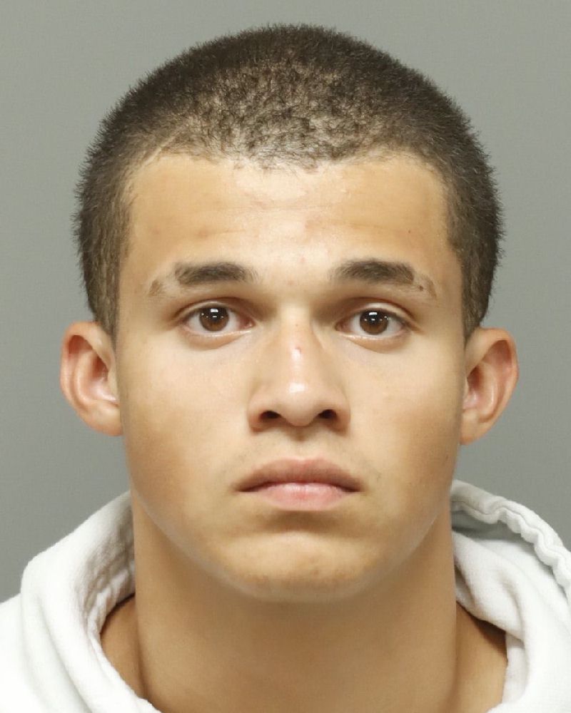 Miles Seppelt booking photo